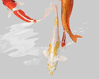 《KAGE～Shadow of the Ninja 绝影战士》亮相高能电玩节 双人通关视频首次公开